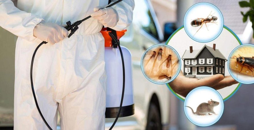 Evka 6 Böcek İlaçlama