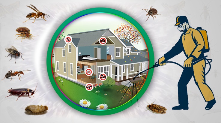 Evka 6 Böcek İlaçlama