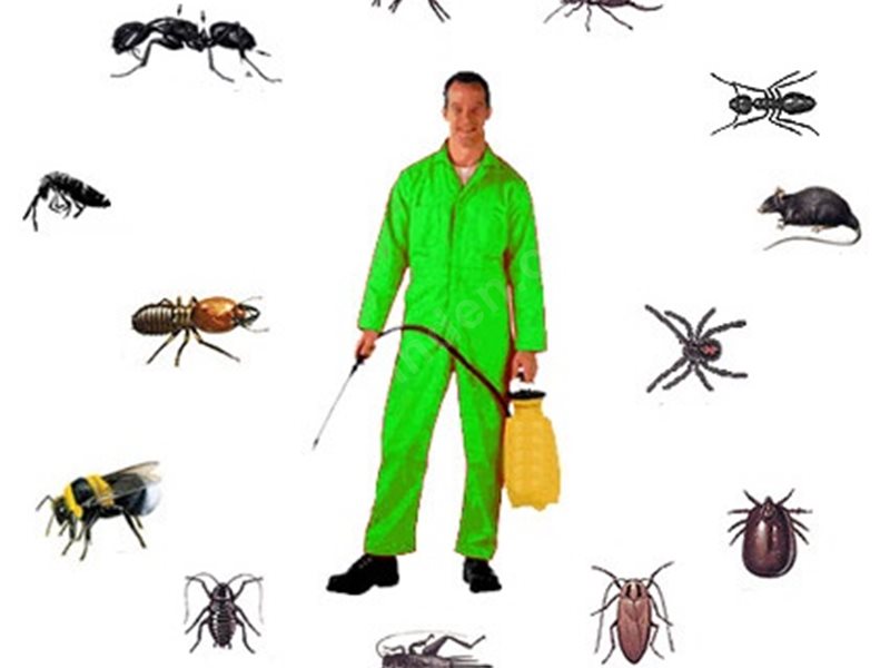 Evka 6 Böcek İlaçlama